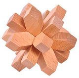 Interlocking Wooden Puzzles